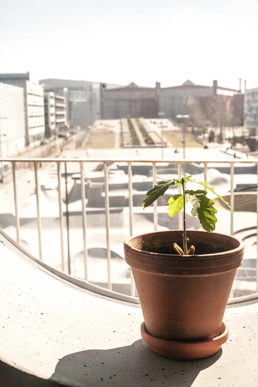 Hyreslägenhet på Malmö i malmo