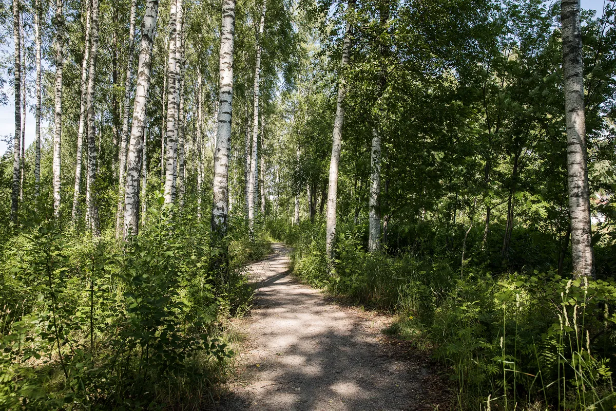 Hyreslägenhet på Örebro i orebro