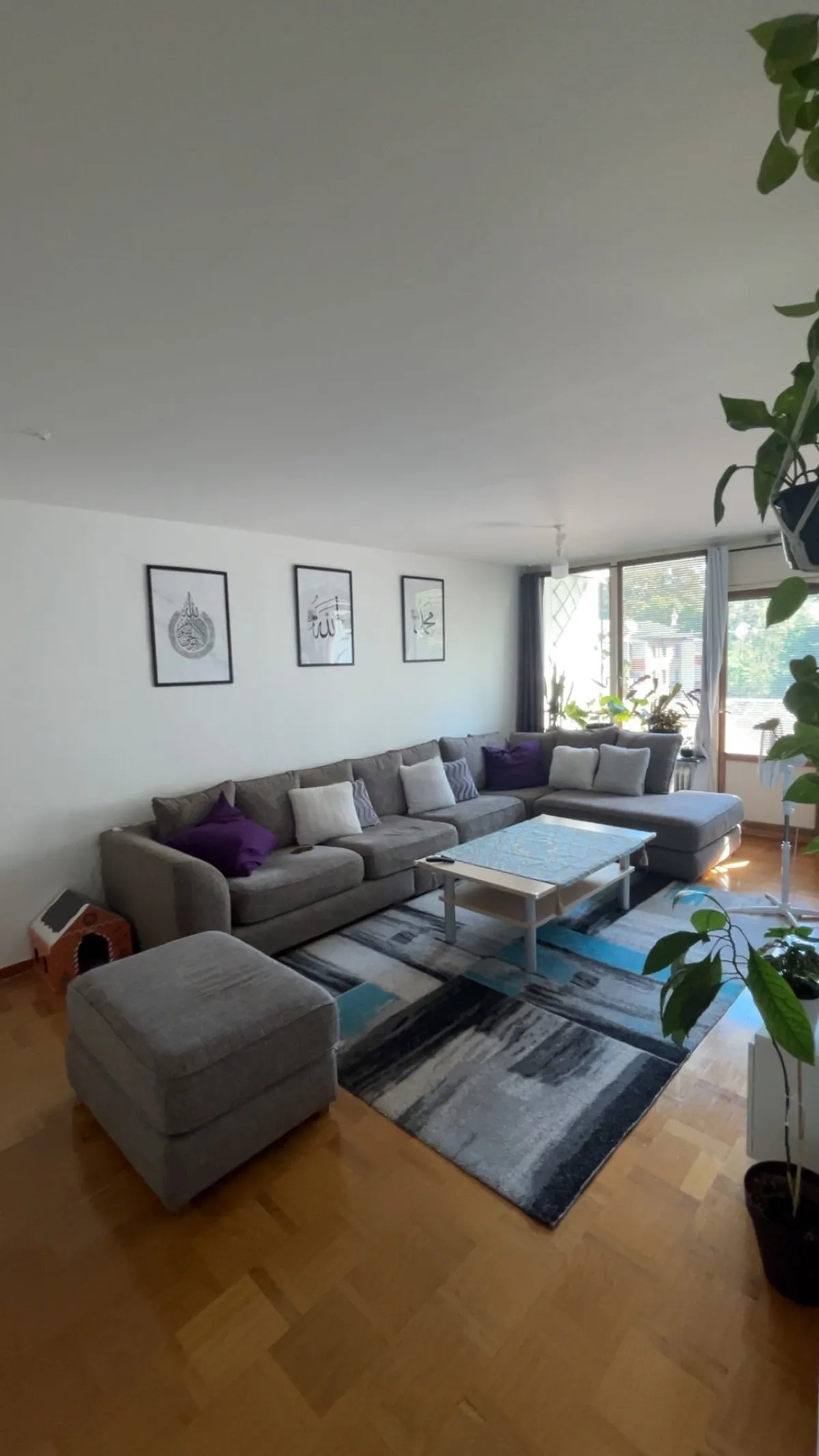 Hyreslägenhet på Nybro i nybro