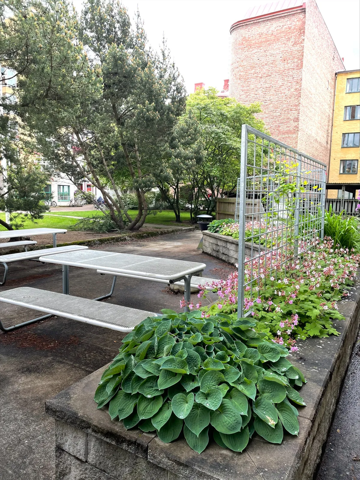 Hyreslägenhet på Halmstad i halmstad