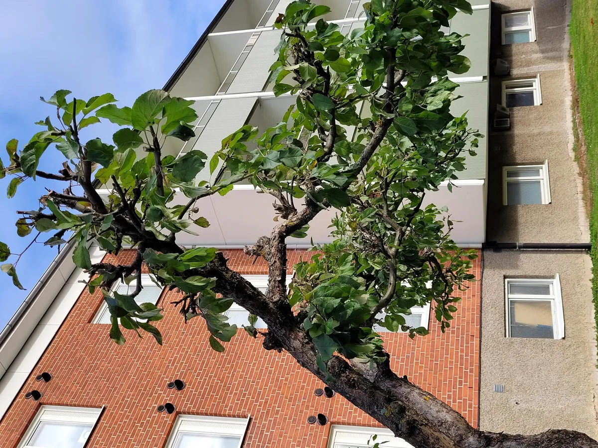 Hyreslägenhet på Vagnhärad i vagnharad