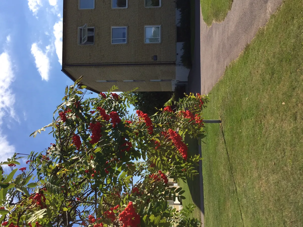 Hyreslägenhet på Kalmar i kalmar