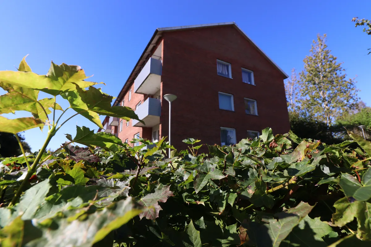 Hyreslägenhet på Traryd i traryd