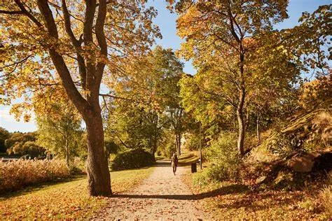 Hyreslägenhet på Knivsta i knivsta
