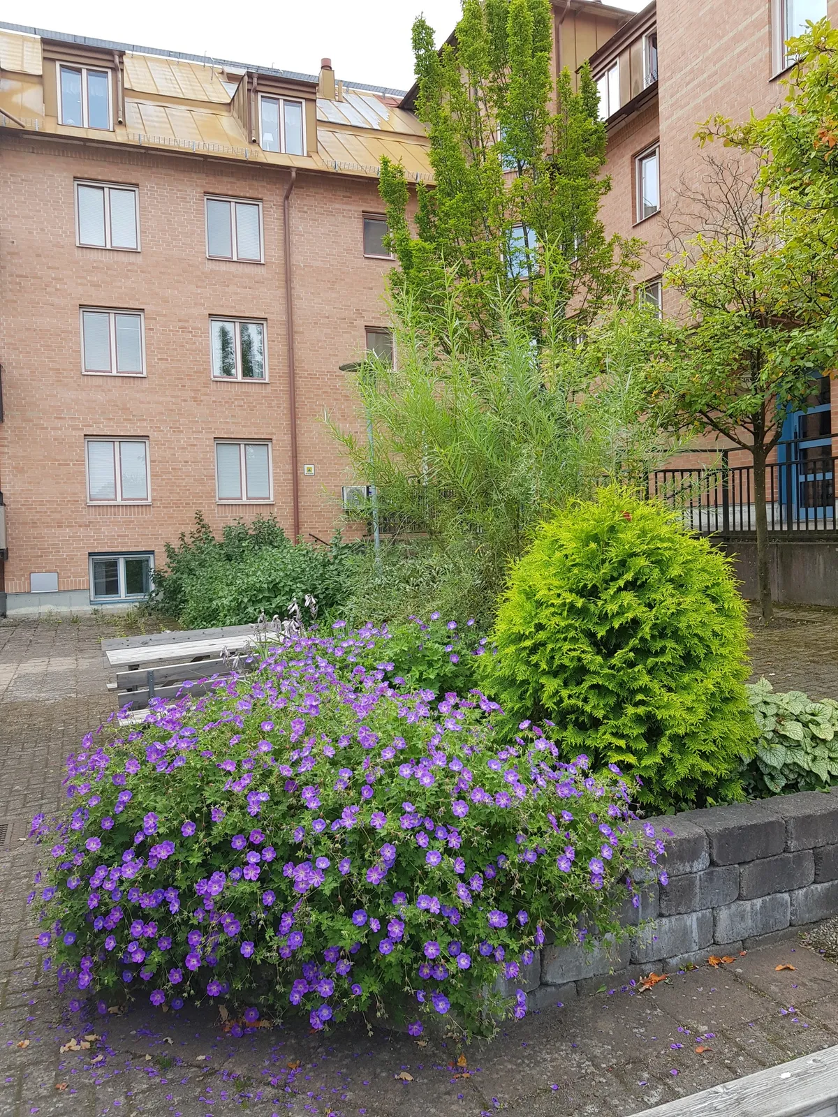 Hyreslägenhet på Uddevalla i uddevalla