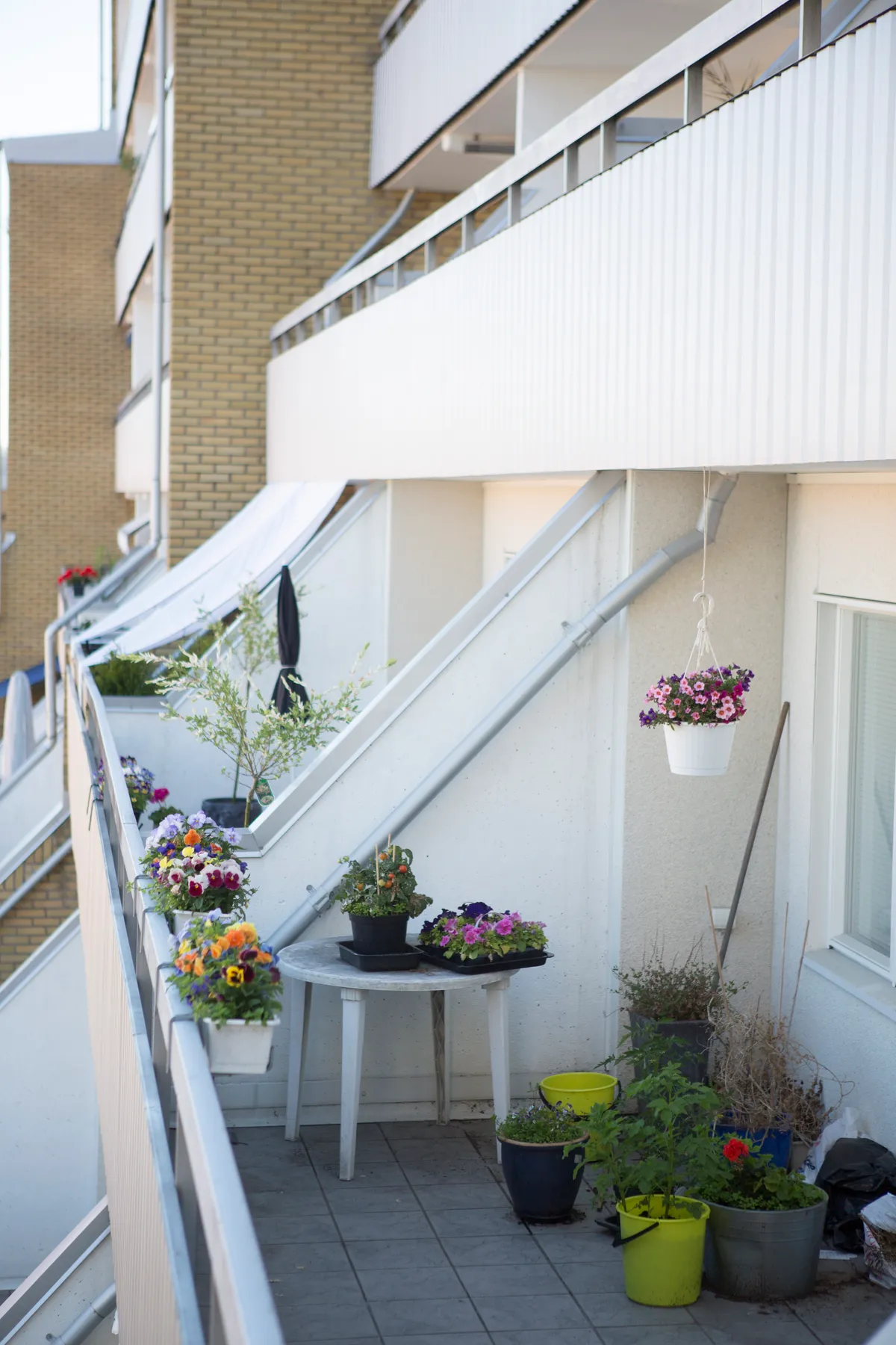 Hyreslägenhet på Göteborg i goteborg