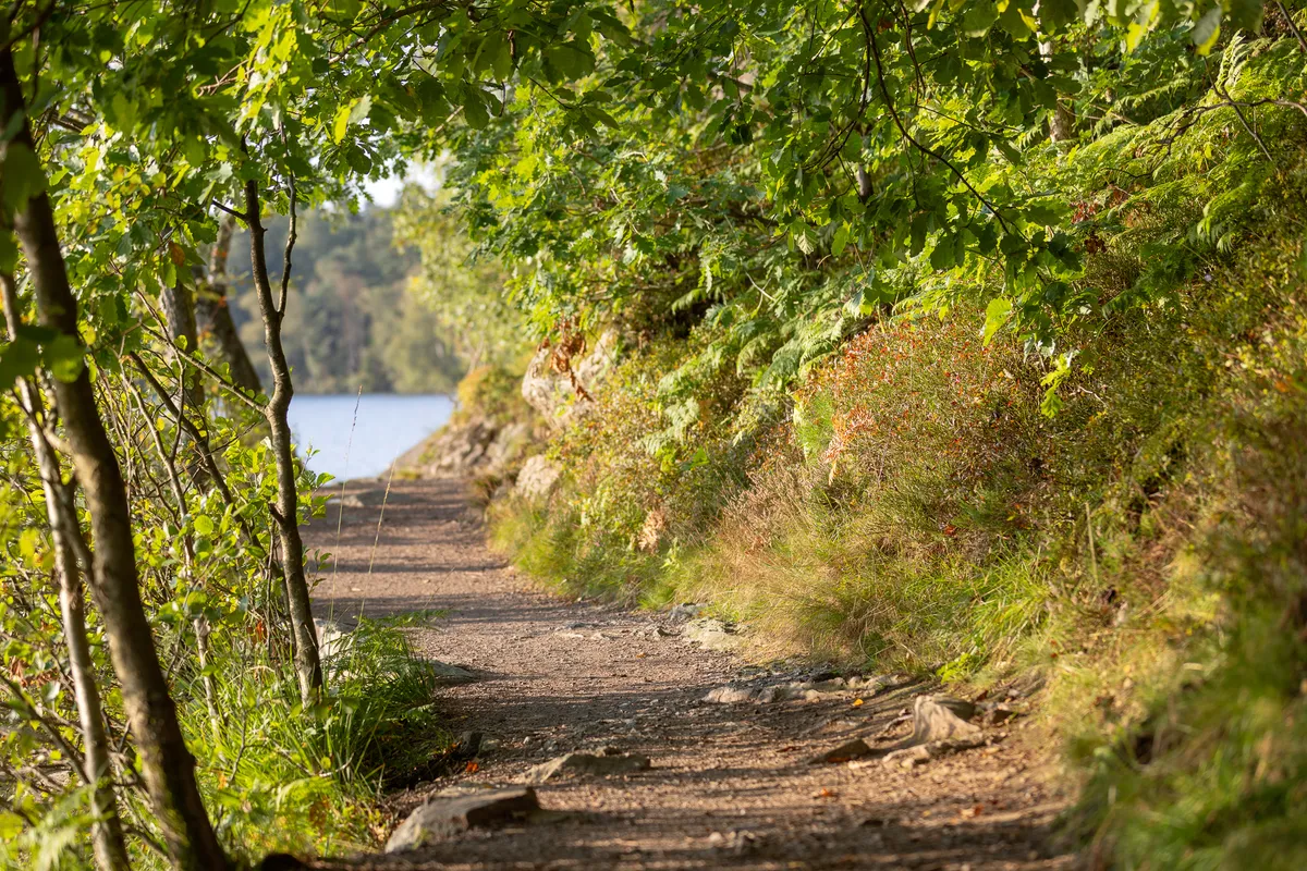 Hyreslägenhet på Göteborg i goteborg