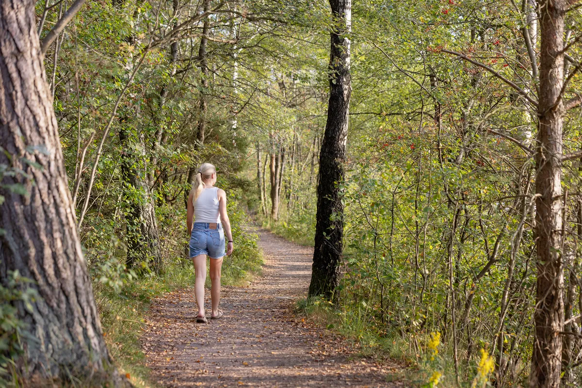 Hyreslägenhet på Göteborg i goteborg