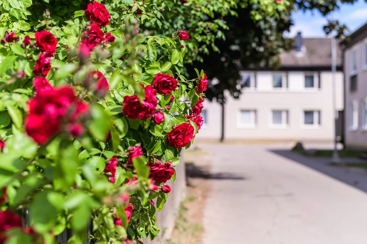 Hyreslägenhet på Linköping i linkoping