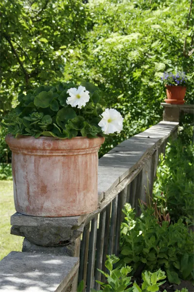 Hyreslägenhet på Oskarshamn i oskarshamn