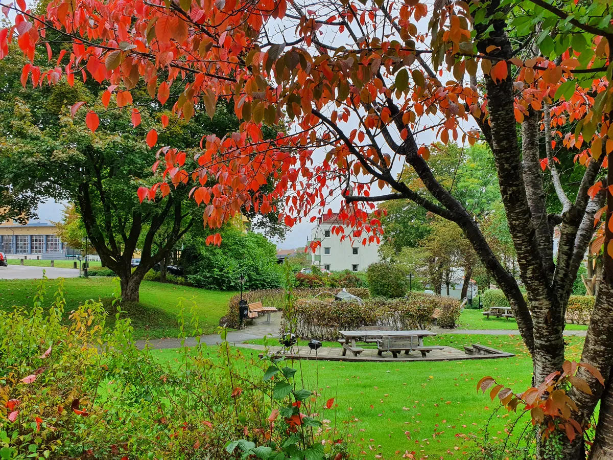 Hyreslägenhet på Borås i boras