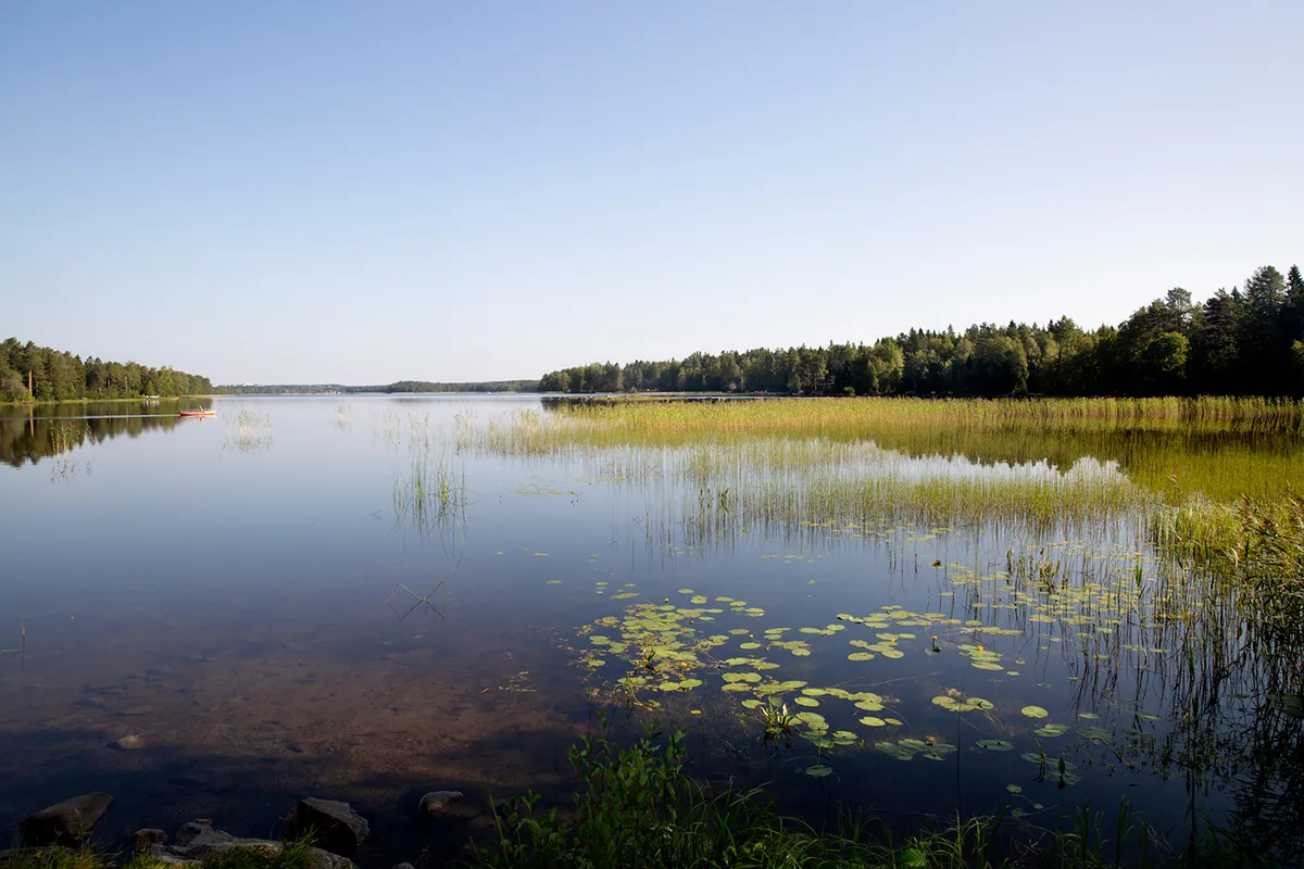 Hyreslägenhet på Umeå i umea