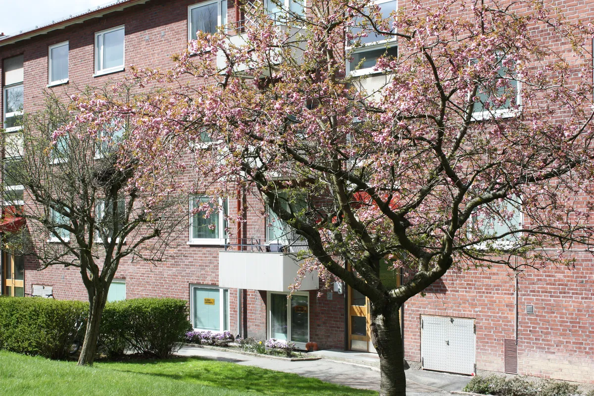 Hyreslägenhet på Göteborg i goteborg