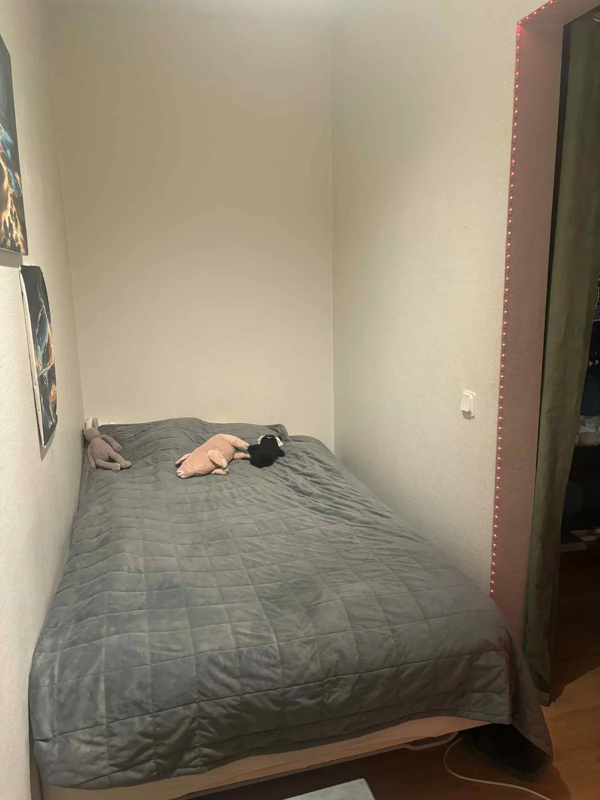 Hyreslägenhet på Borås i boras