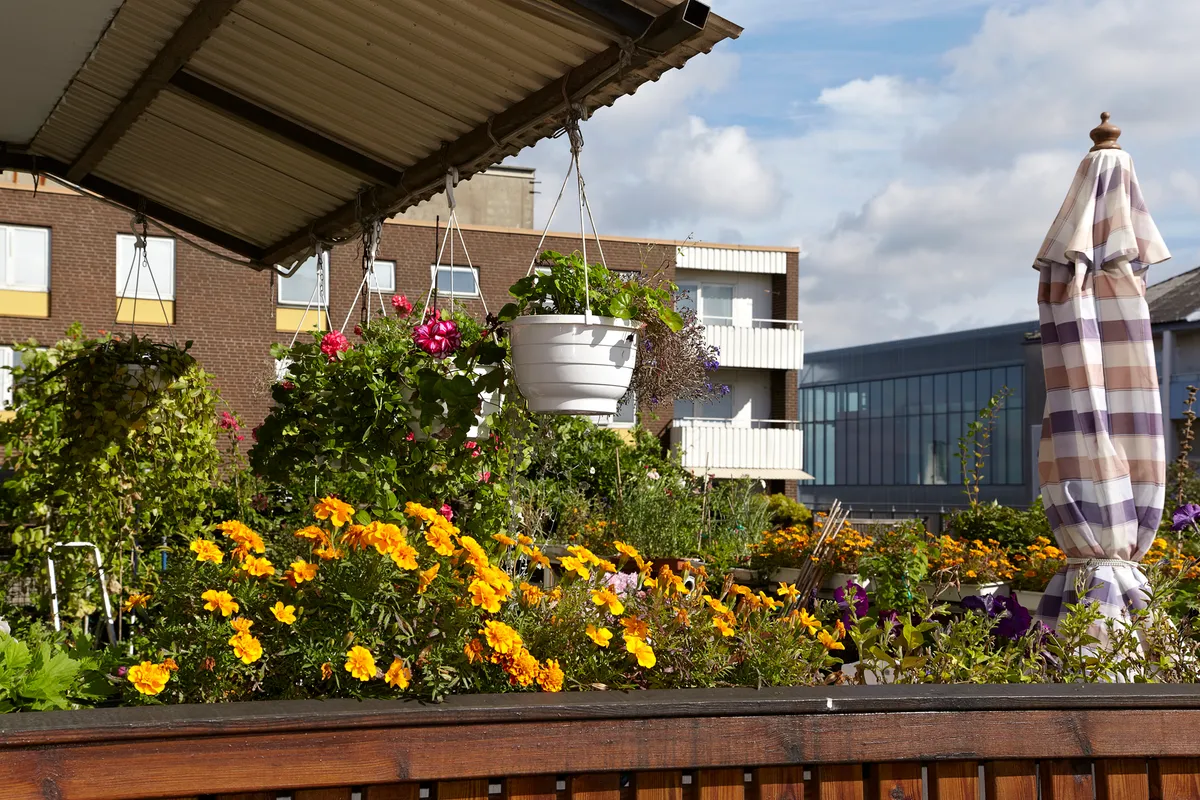 Hyreslägenhet på Malmö i malmo