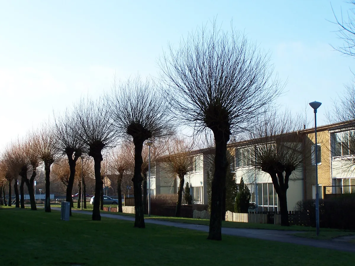 Hyreslägenhet på Kävlinge i kavlinge