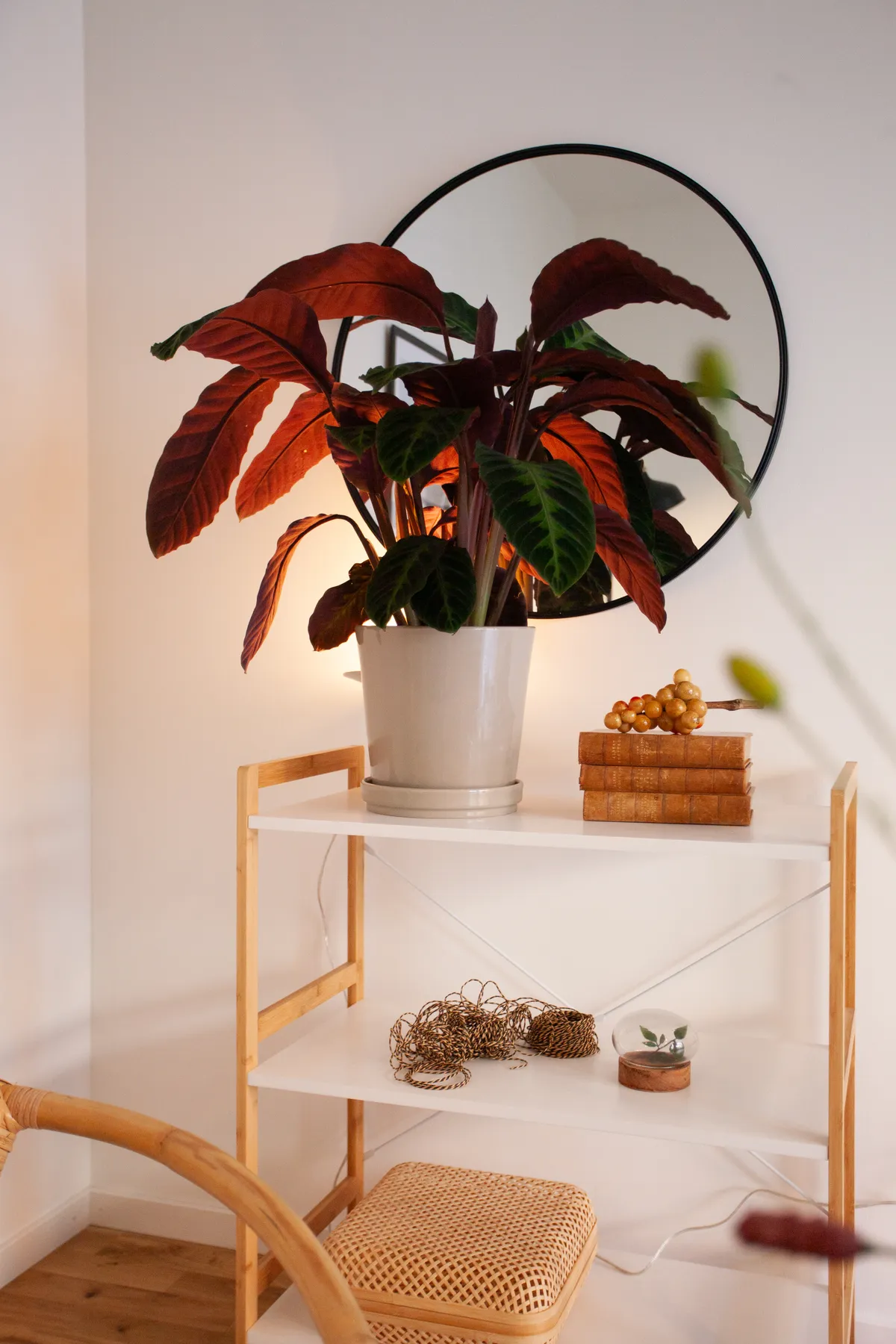 Hyreslägenhet på Eskilstuna i eskilstuna