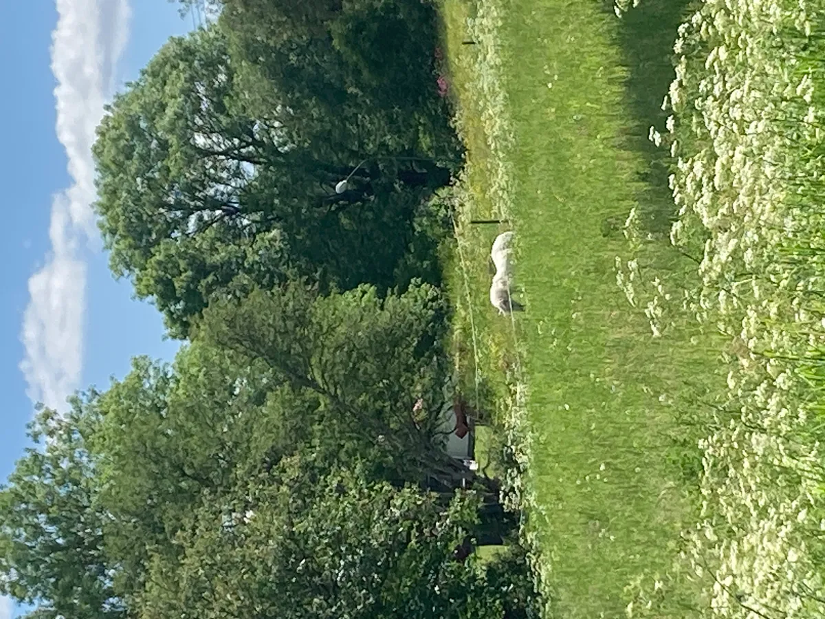 Hyreslägenhet på Forserum i forserum