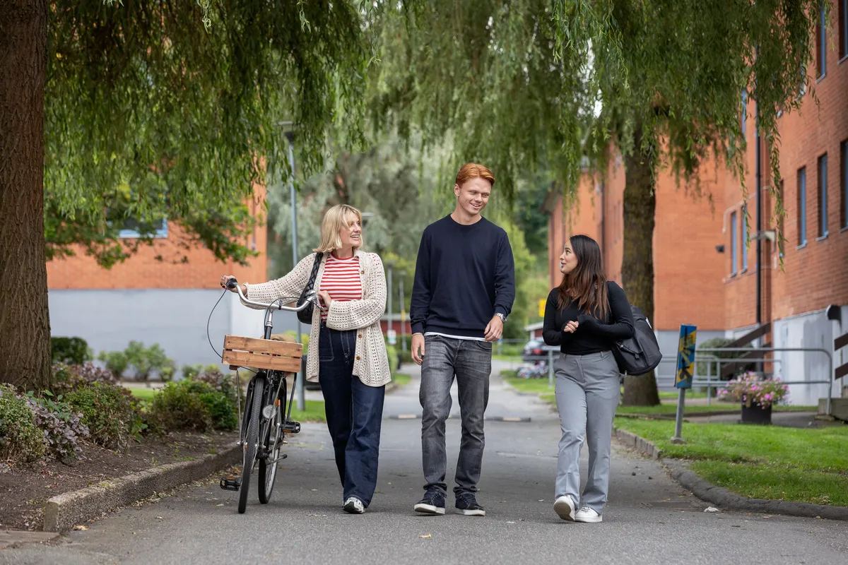 Hyreslägenhet på Göteborg i goteborg