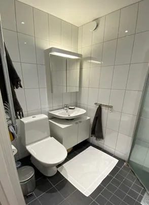 Hyreslägenhet på Helsingborg i helsingborg