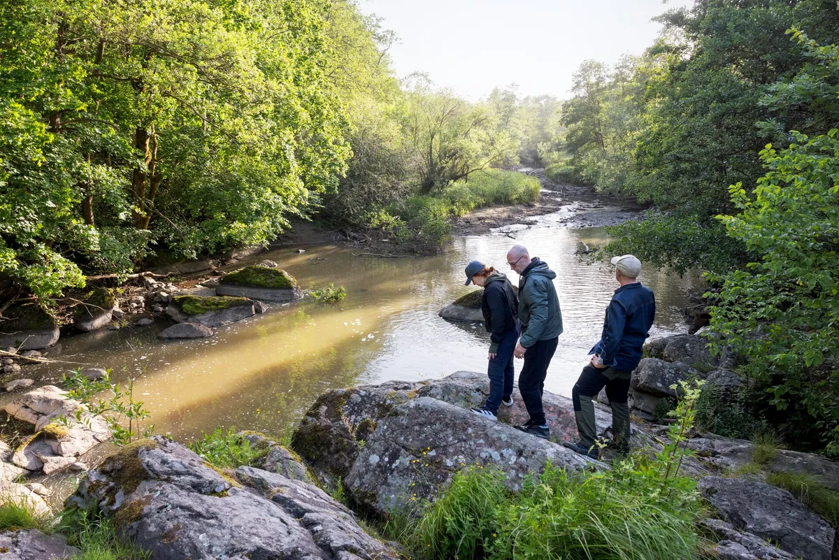 Hyreslägenhet på Göteborg i goteborg