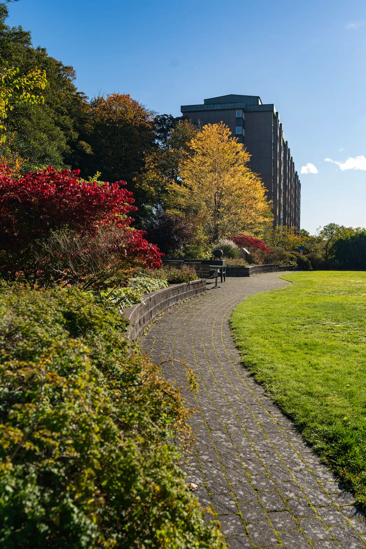 Hyreslägenhet på Göteborg i goteborg