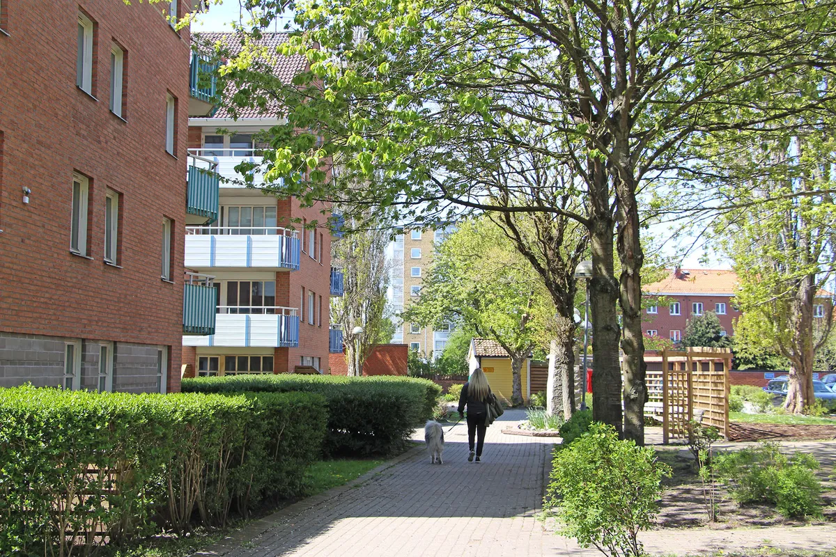 Hyreslägenhet på Trelleborg i trelleborg