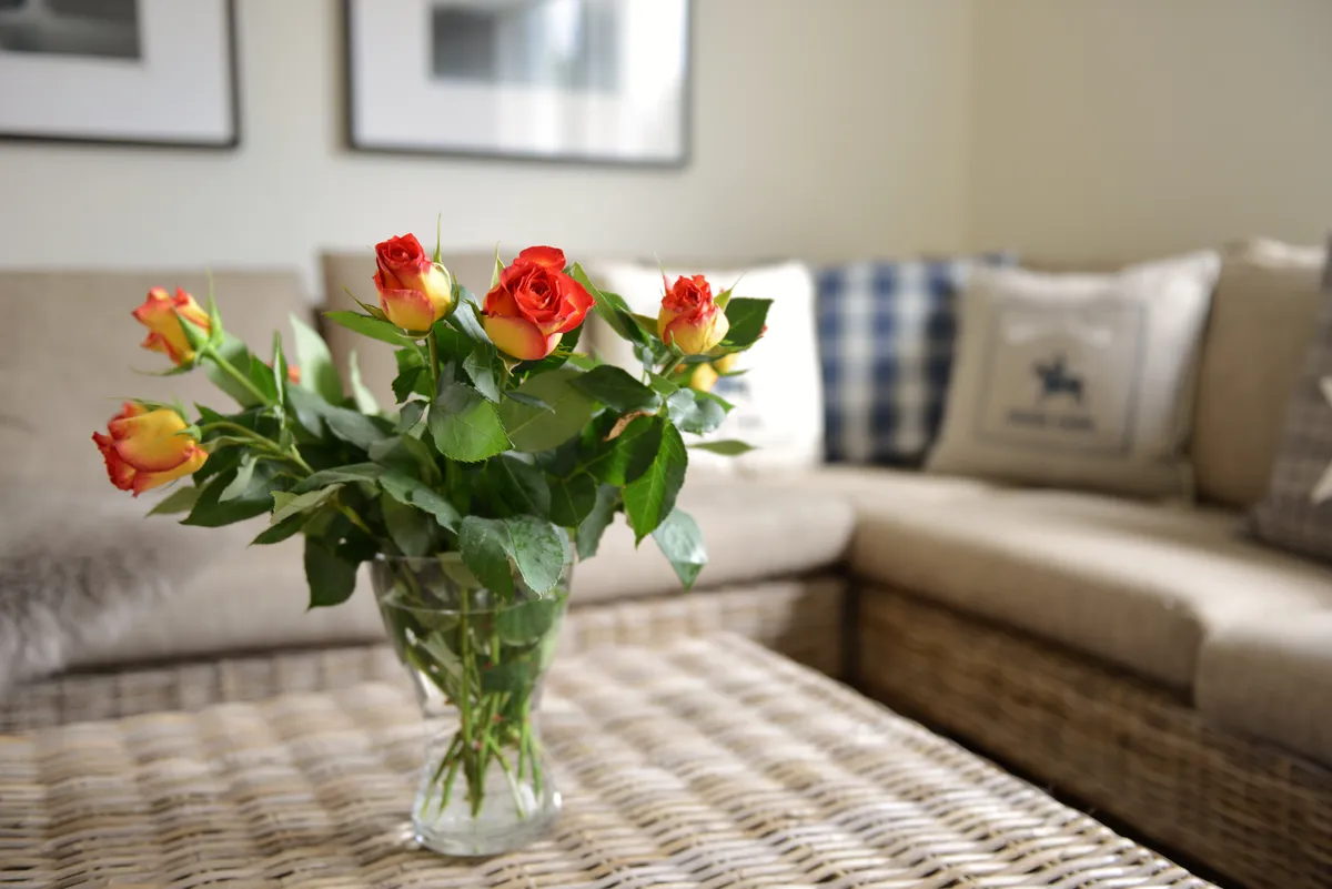 Hyreslägenhet på Sunne i sunne