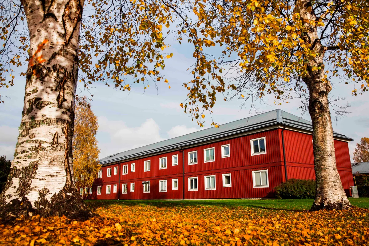 Hyreslägenhet på Skellefteå i skelleftea