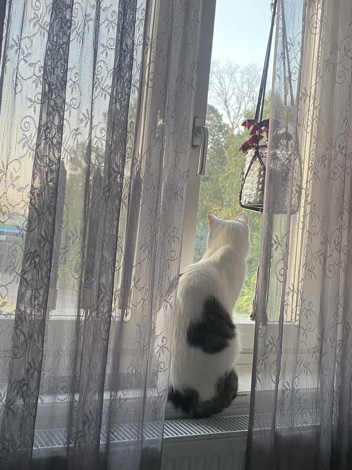 Hyresbostad på Falköping i falkoping