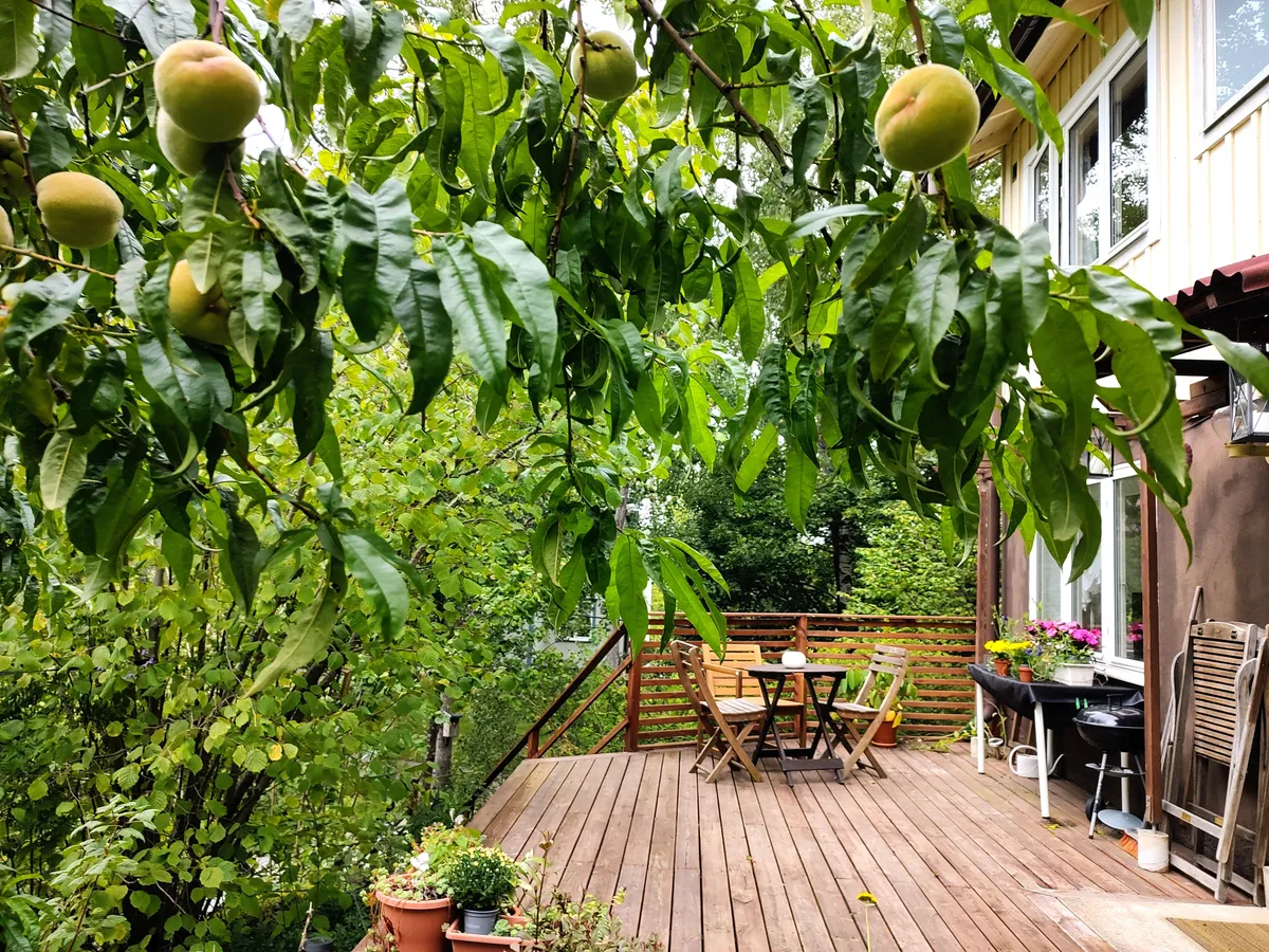 Hyresbostad på Huddinge i huddinge