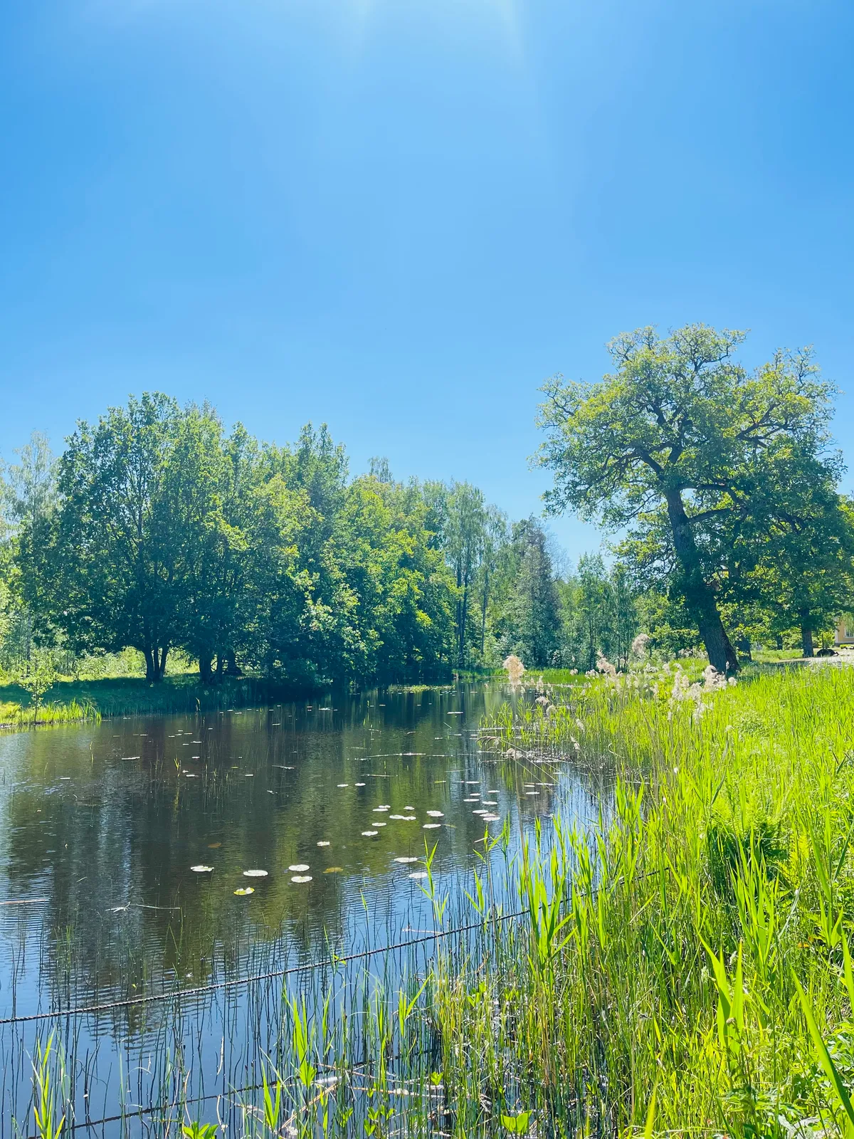 Hyreslägenhet på Tierp i tierp