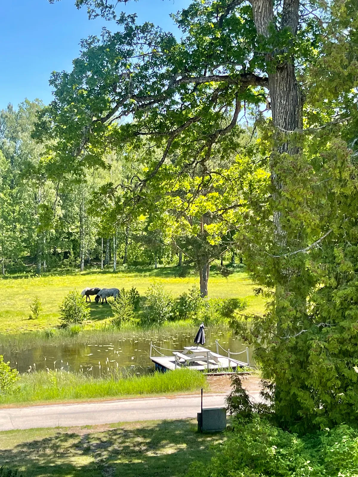 Hyreslägenhet på Tierp i tierp