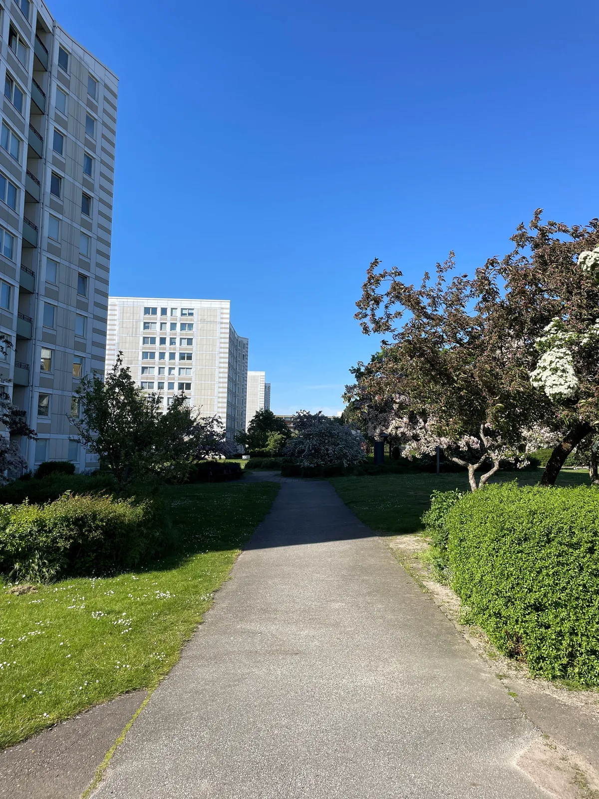 Hyreslägenhet på Malmö i malmo