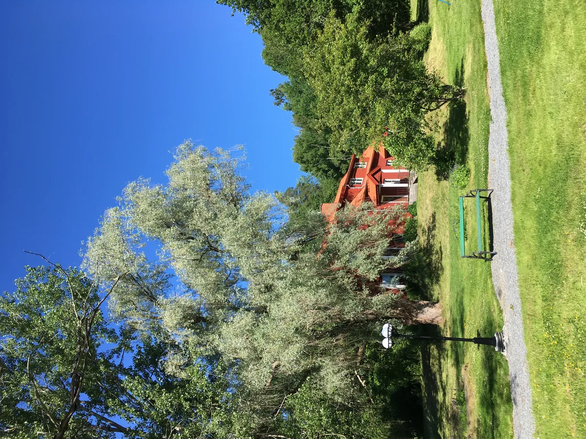 Hagetvägen i Borgvik