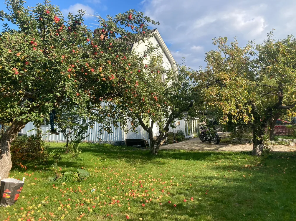 Property image 24