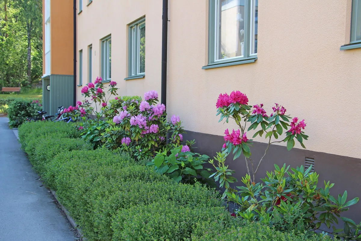 Hyreslägenhet på Vetlanda i vetlanda