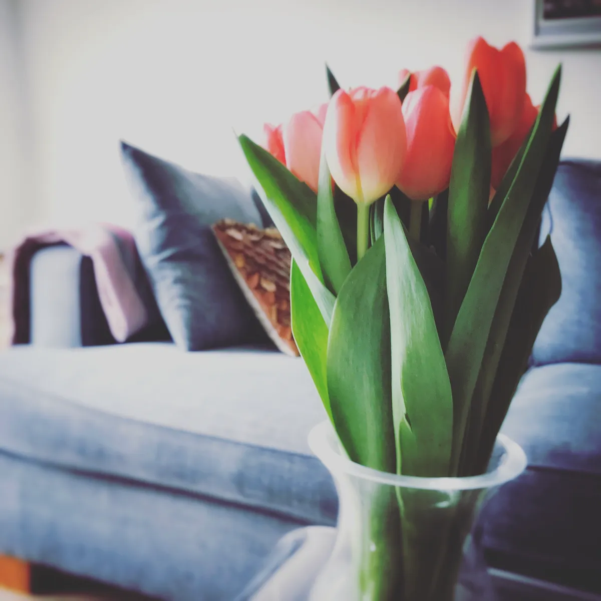 Hyreslägenhet på Lidingö i lidingo