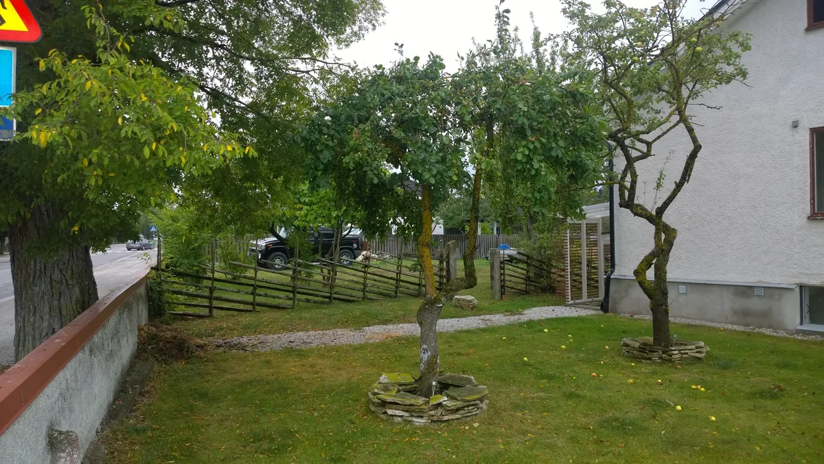 Hyreslägenhet på Visby i visby