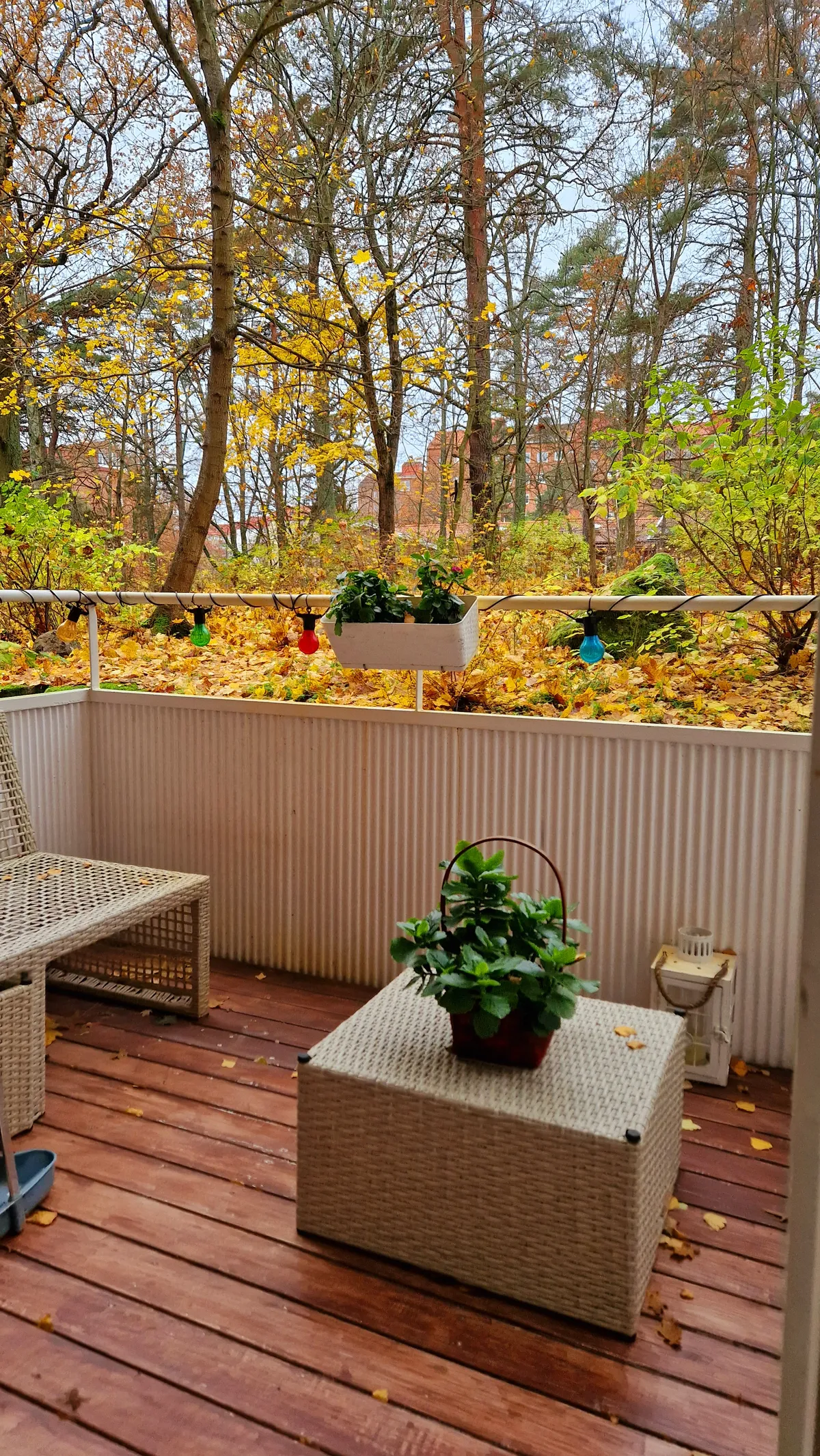 Hyreslägenhet på Solna i solna