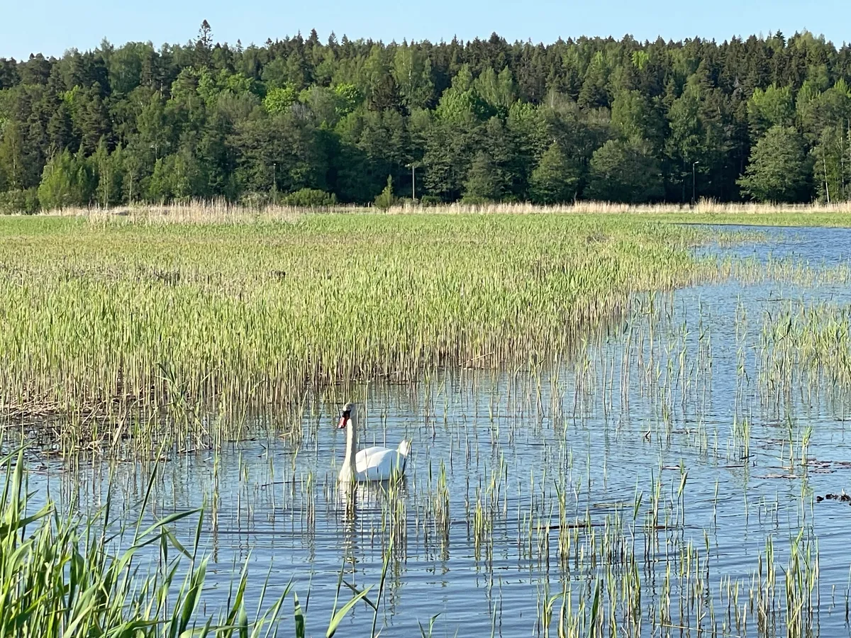 Hyresbostad på Porvoo i porvoo