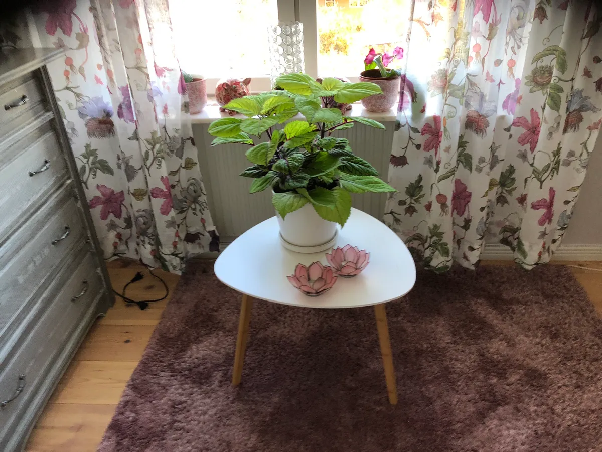 Hyreslägenhet på Östersund i ostersund
