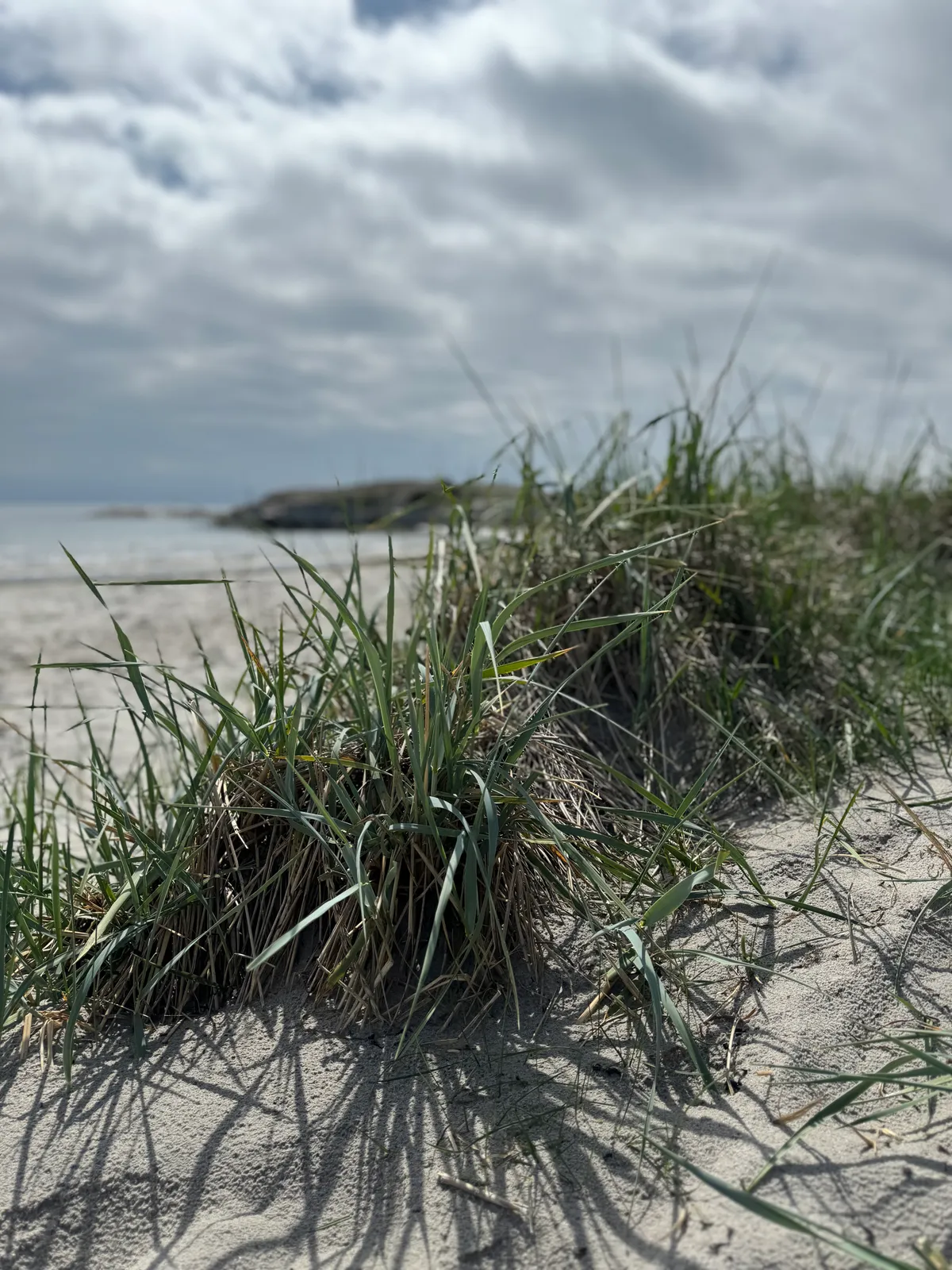 Hyreslägenhet på Varberg i varberg
